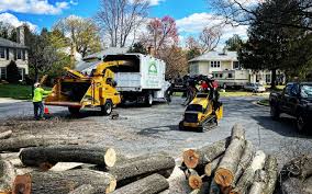 Carthage, TN Tree Care  Company